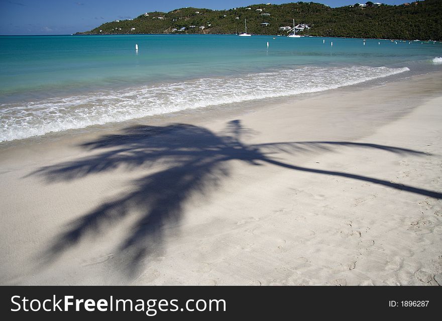 Shadow of a palm on a white caribbean beach. Shadow of a palm on a white caribbean beach