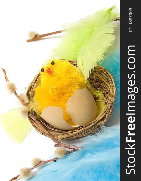 Picture of a small cute chicken for Easter. Picture of a small cute chicken for Easter