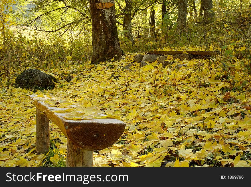 Single bench in a park during autumn time