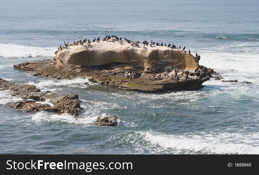 This is a picture of Birdrock Point in La Jolla, CA.