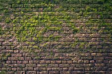 Bricks And Moss Royalty Free Stock Image Bricks And Moss Royalty Free Stock Image