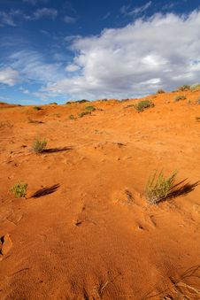 Coral Pink Sand Dune Royalty Free Stock Photography Coral Pink Sand Dune Royalty Free Stock Photography