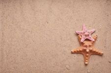Sand Background With Two Starfish Royalty Free Stock Image Sand Background With Two Starfish Royalty Free Stock Image