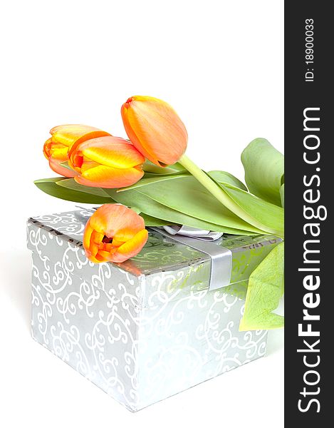 Yellow orange tulips laying on a silver present isolated on white