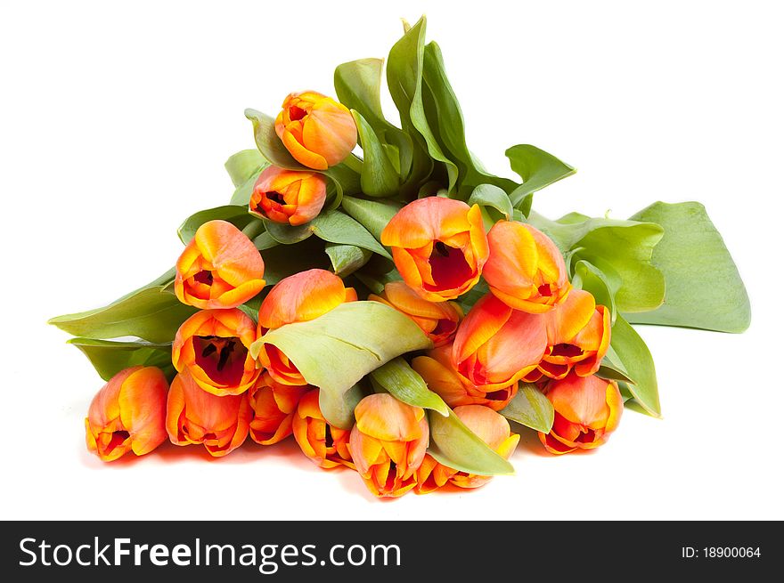 Bunch of yellow orange tulips isolated on white