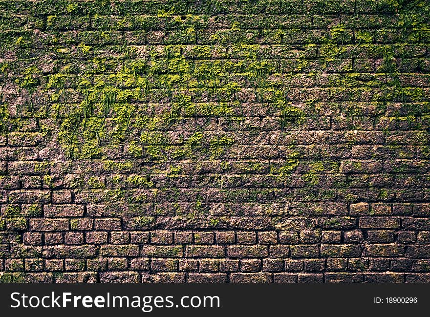 Brick wall with moss growing out of it. Brick wall with moss growing out of it