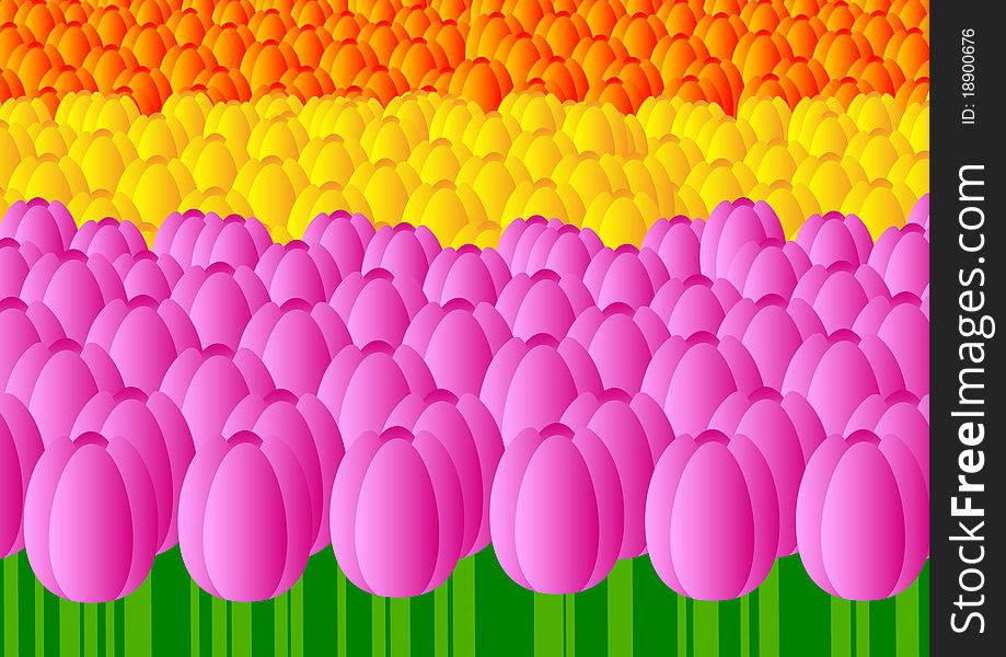 Bed of tulips