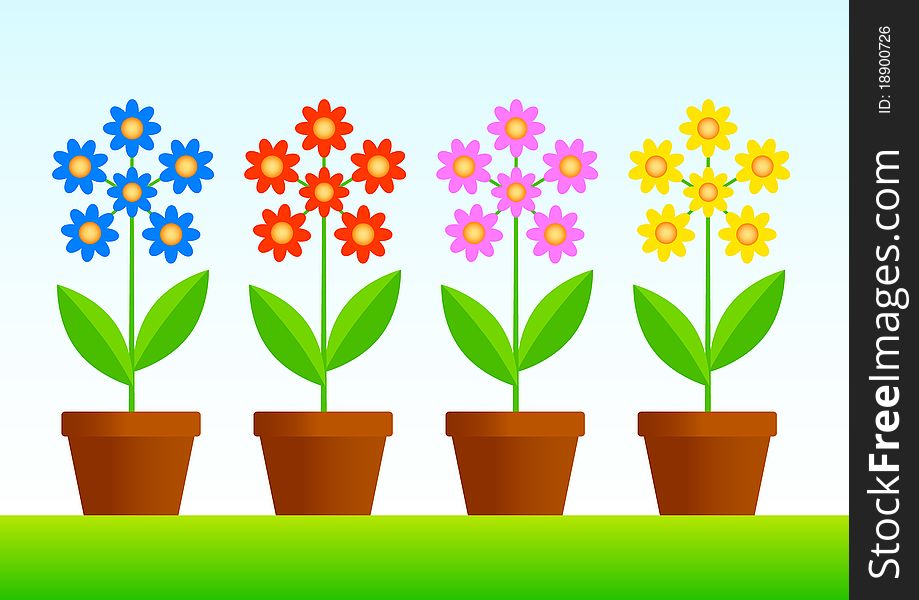 Collection of flowers in flowerpots. Collection of flowers in flowerpots