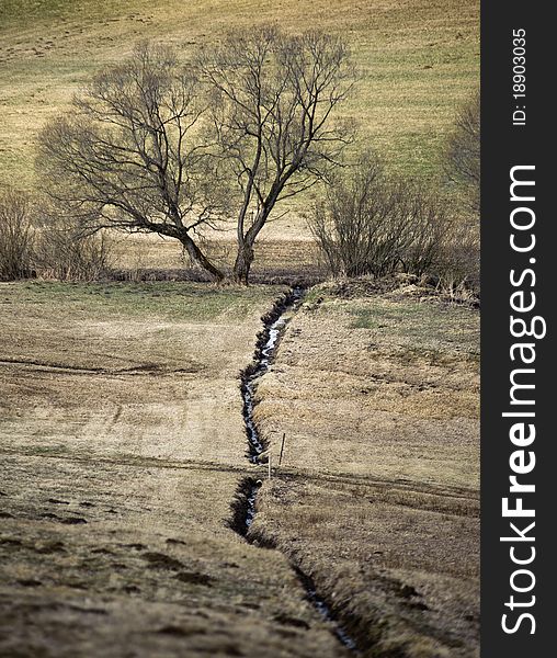 Streamlet At End Of Winter