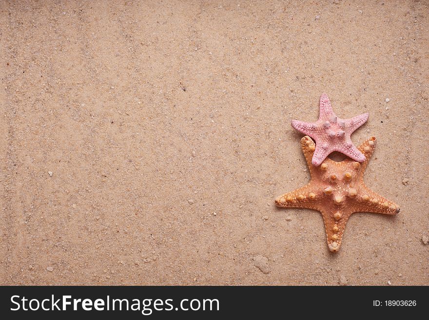 Sand with two starfish, one pink and one orange, to use as background. Sand with two starfish, one pink and one orange, to use as background