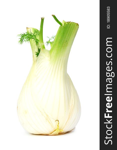 Fennel bulb  isolated on the white background