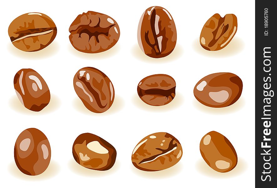 Vector coffee beans are isolated on a white background
