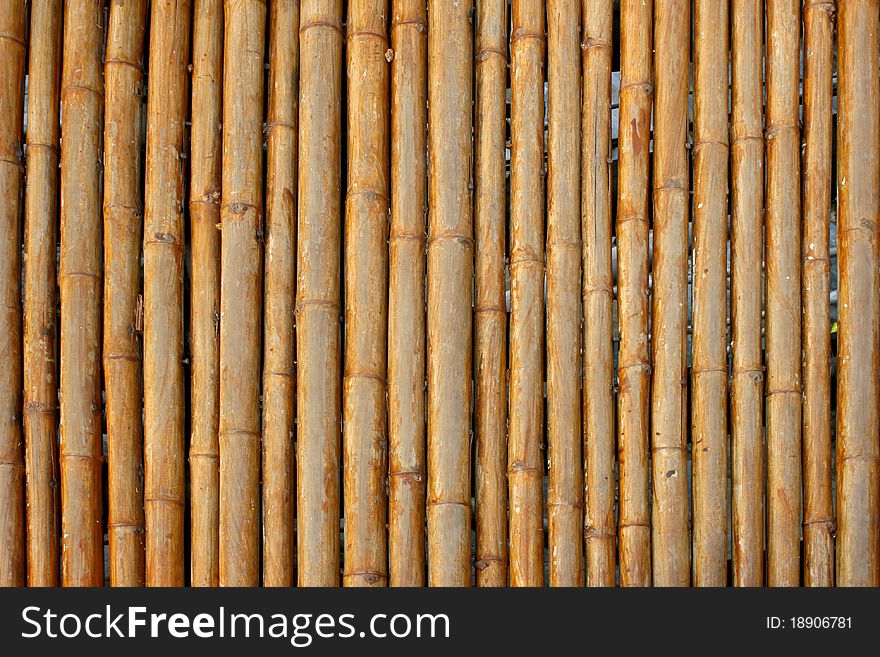 Close-up bamboo background texture with columns