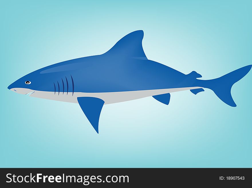 Big dangerous fish shark on turn blue background. Big dangerous fish shark on turn blue background