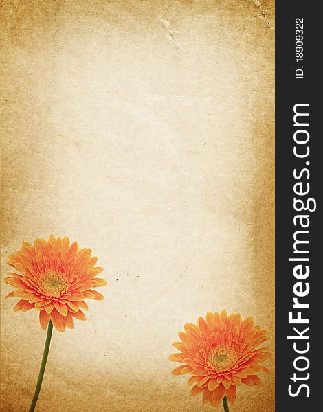 Orange flower and old paper for text and background