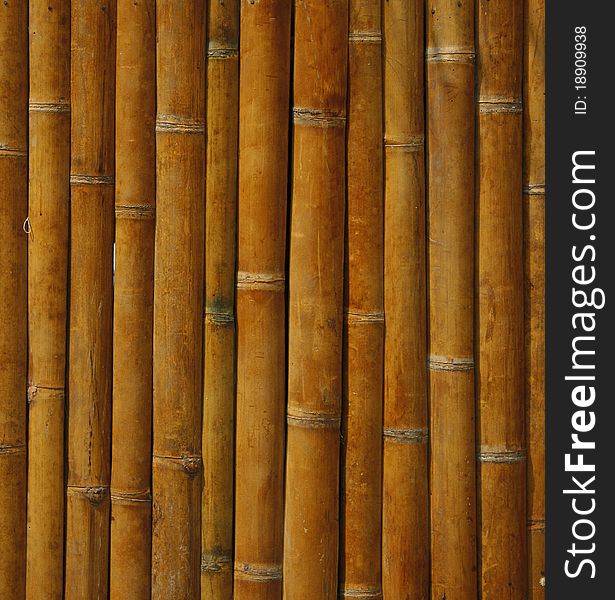 Close-up bamboo background texture with columns