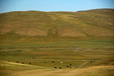 Landscape In Mongolia Stock Image Landscape In Mongolia Stock Image