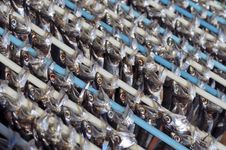 Dried Fish Stock Photo Dried Fish Stock Photo