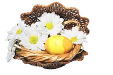 Easter Eggs In A Nest Royalty Free Stock Photo Easter Eggs In A Nest Royalty Free Stock Photo