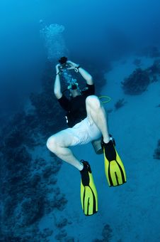 Scuba Diver Looks Up And Takes Photograph Stock Photo Scuba Diver Looks Up And Takes Photograph Stock Photo