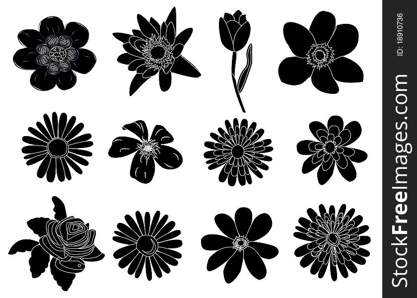 Balck and white flowers set