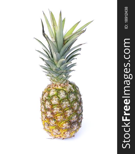 Fresh Pineapple