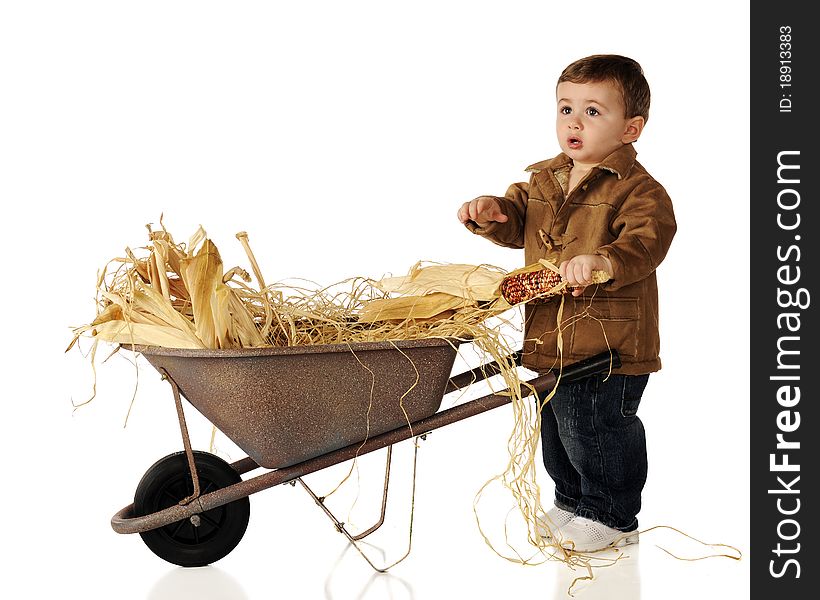 An adorable baby boy with a wheelbarrow full of hay and Indian corn. Isolated on white. An adorable baby boy with a wheelbarrow full of hay and Indian corn. Isolated on white.