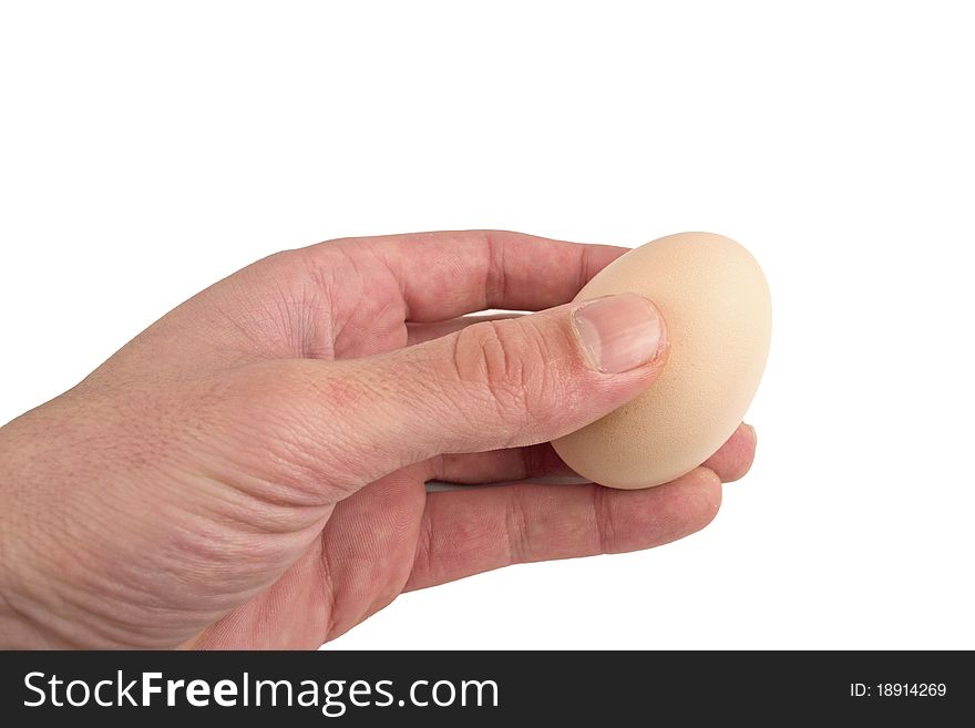 Hand holding egg isolated on white. Hand holding egg isolated on white