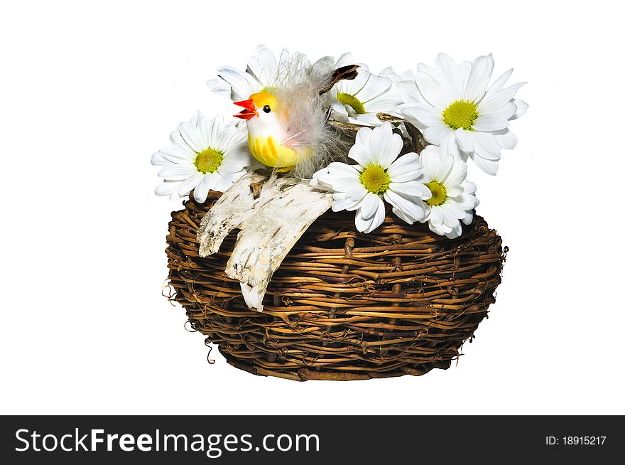Chicken in a nest with flowers on the white isolated background