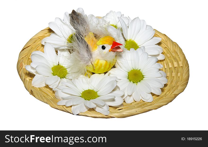 Chicken in a nest with flowers on the white isolated background