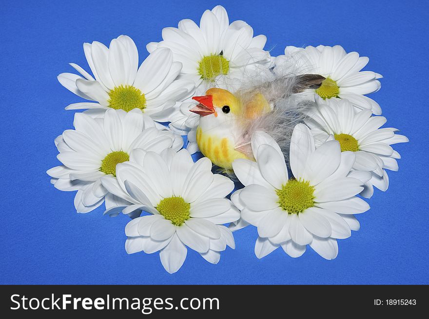 Chicken  with flowers on the  blue
background