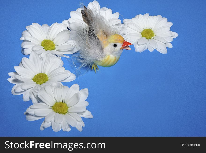 Chicken with flowers on the blue background. Chicken with flowers on the blue background