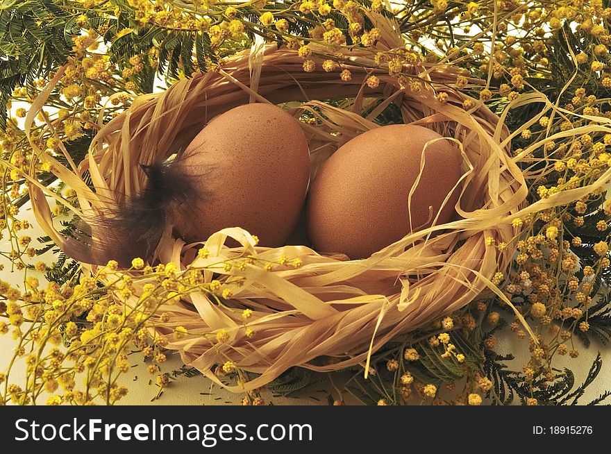 Easter eggs in a nest with  flowers