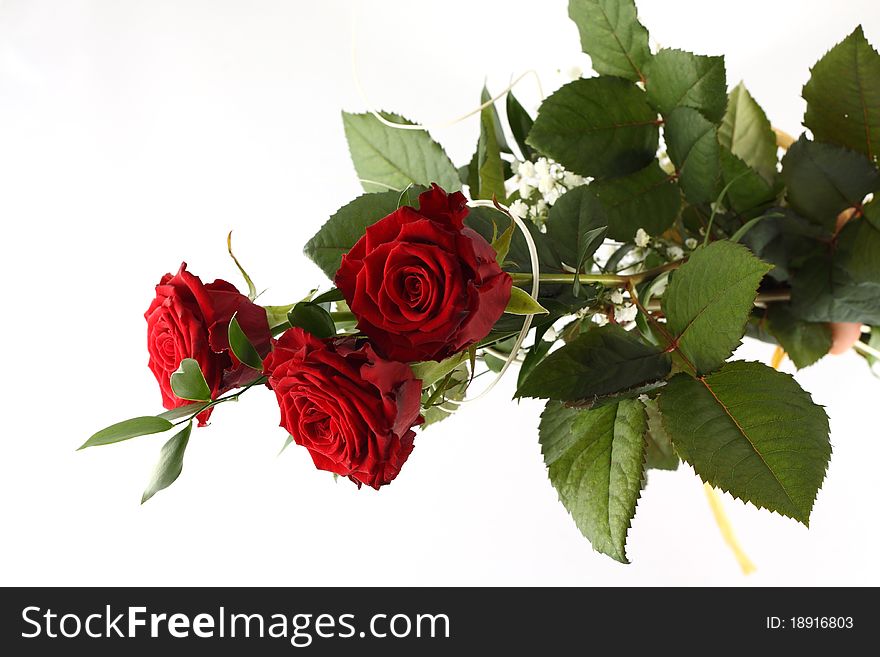 Bouquet of three red roses on white background. Bouquet of three red roses on white background.