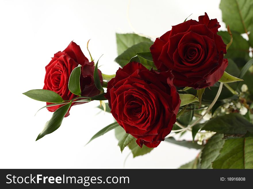 Rose bouquet on white background.