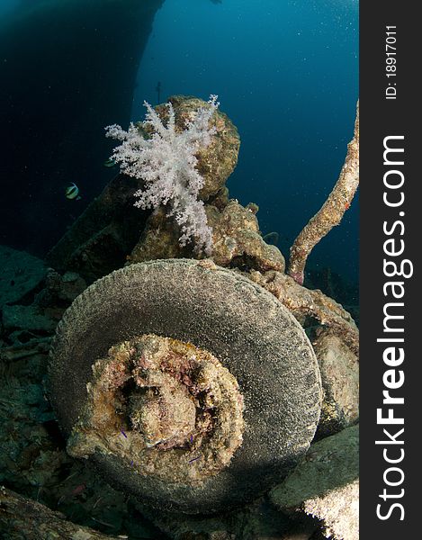 Wheel and rubber tire on the wreck. Wheel and rubber tire on the wreck