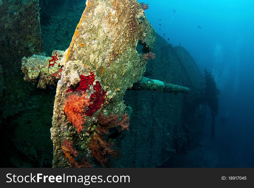 Battle guns on the SS Thistlegorm underwater wreck. Battle guns on the SS Thistlegorm underwater wreck