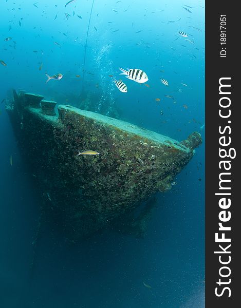 Underwater ship wreck in the red sea. Underwater ship wreck in the red sea