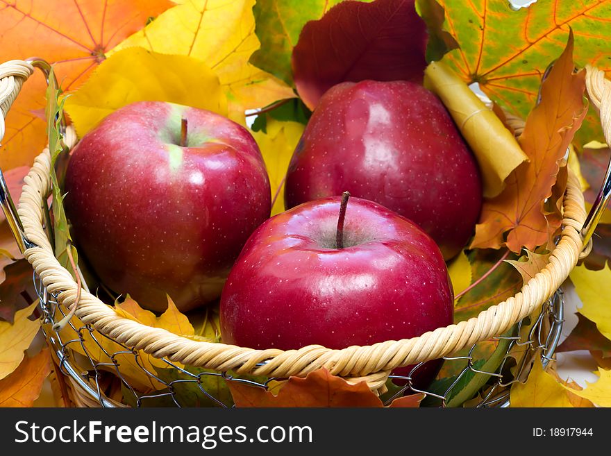 Basket with apples against autumn leaves