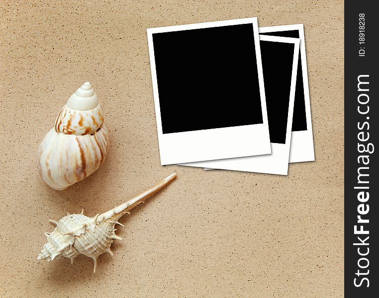 Blank Photos with sea shells on sand background