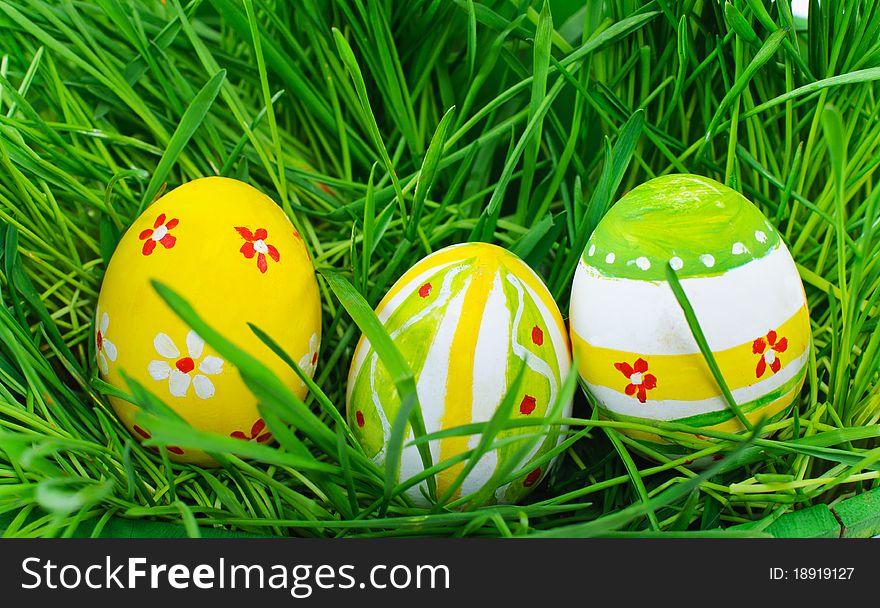 Easter eggs are colored in fresh green grass