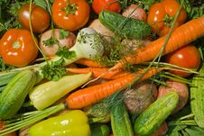 Heap Of Vegetables 7 Royalty Free Stock Photos Heap Of Vegetables 7 Royalty Free Stock Photos