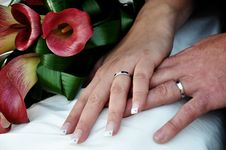 Hands With Wedding Rings Stock Photo Hands With Wedding Rings Stock Photo