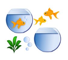 Gold Fish And Fish Bowl Royalty Free Stock Images Gold Fish And Fish Bowl Royalty Free Stock Images