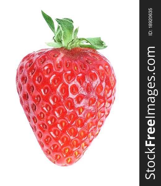 Single fresh red strawberry