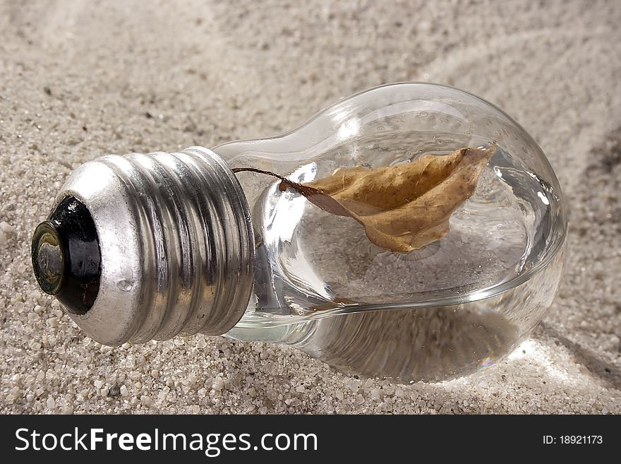 Dry brown leaf in a light bulb on sand. Dry brown leaf in a light bulb on sand.