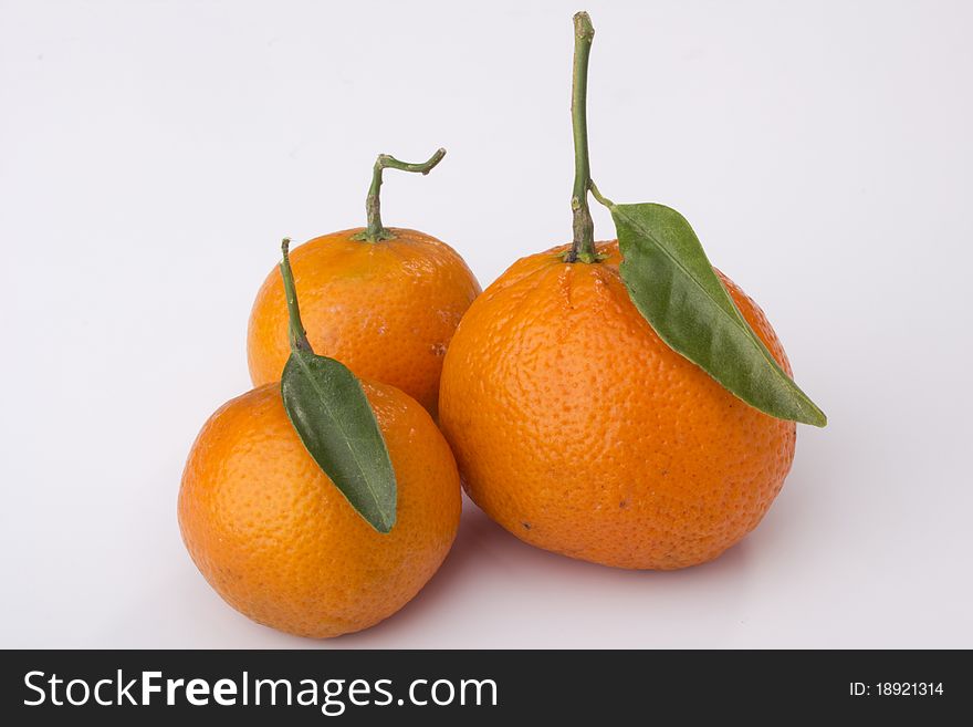 Orange tangerines with green leaves on a white background.