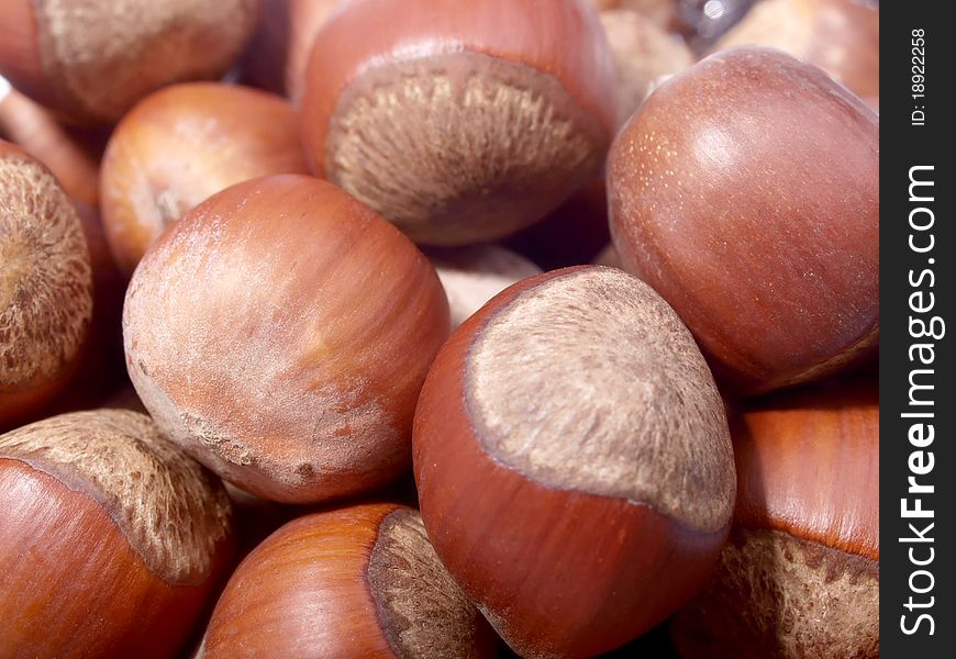 Close-up Of Hazel Nuts