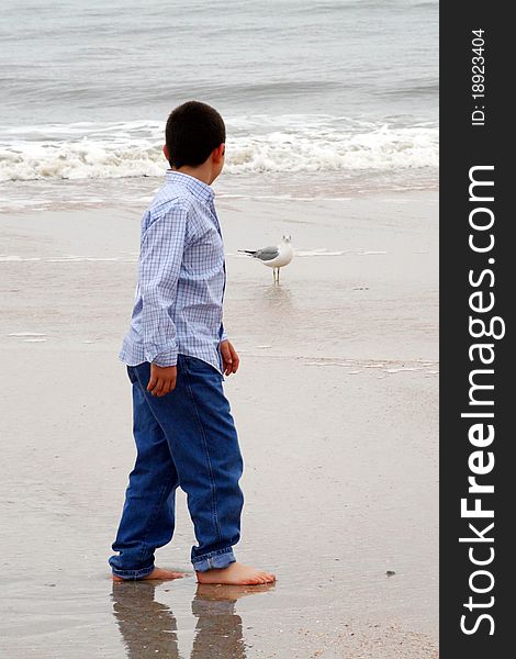Young boy strolling on beach with seagull in background. Young boy strolling on beach with seagull in background.