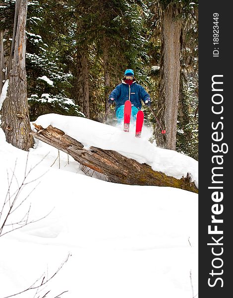 Freerider in the forest in Georgia